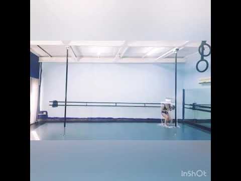 Janine Pole Art Gauteng: Single Video Entry