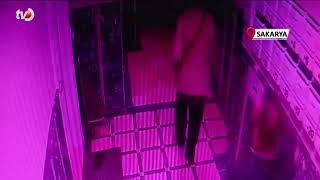 İstanbul'da Karısını Öldüren Şahıs, Sakarya'da Ölü Olarak Bulundu