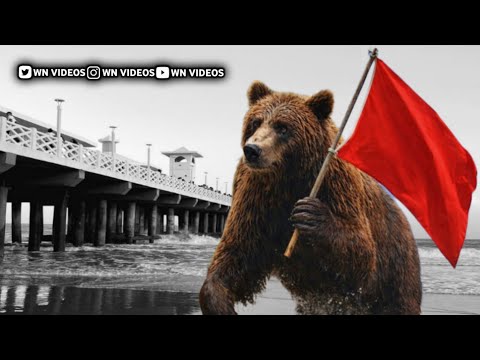 MC BIEL DE NI - MEDLEY DE CONSIDERAÇÃO PRO CEARÁ [ DJ TREM BALA ] LANÇAMENTO 2025