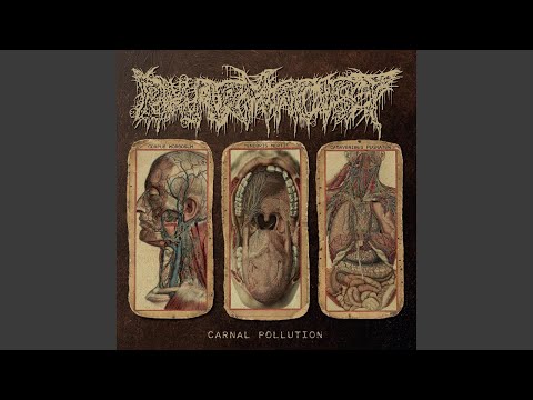 Carnal Pollution