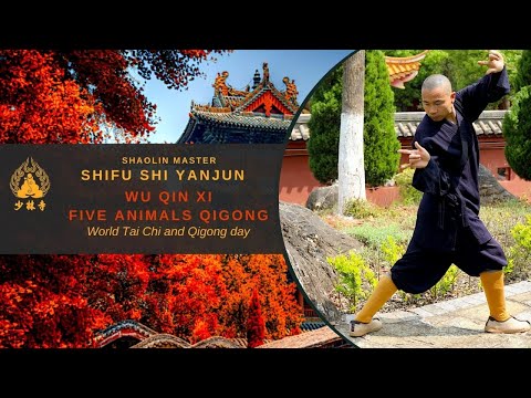 Qigong Practice - Wu Qin Xi (Five Animals Play) | Shifu Shi Yanjun