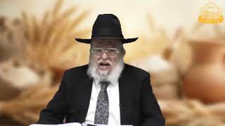 דף היומי בחצי שעה – מסכת מנחות דף צ”ה