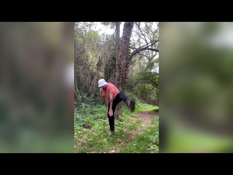 el origen de Medusa - Mitología Griega