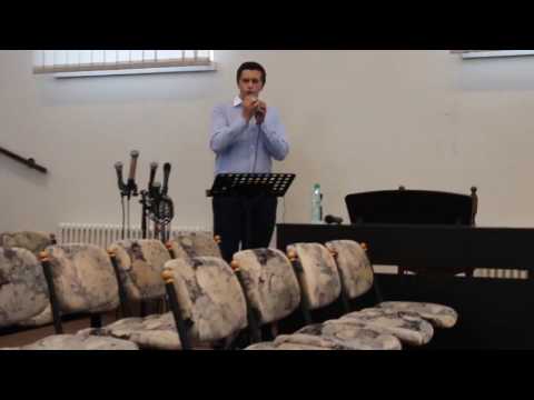 Darius Bocos - Baraba