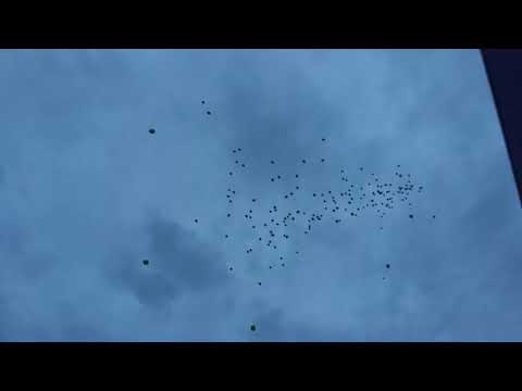 DOĆEK RAMAZANA U ZENICI