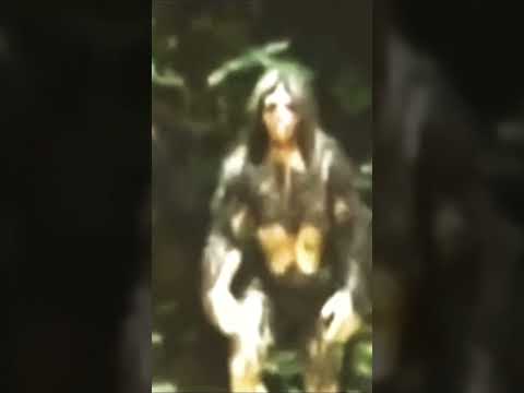 Human Hybrid Species of Bigfoot Footage Showing Curiosity at the Camera! The Modern Caveman!