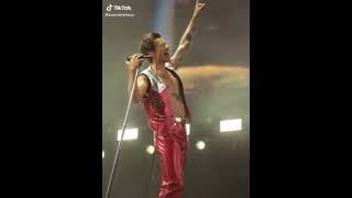 harry styles / save a horse ride a cowboy 🤠