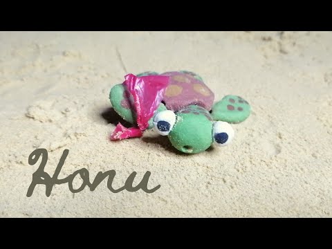 Honu - Stopmotion Animated Short Film | UniKLMiit