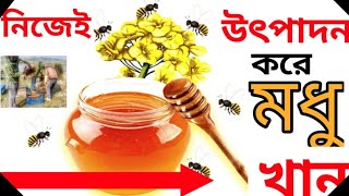 পরাগায়নের জন্য মৌমাছি চাষ। ভালো ফসলের জন্য মৌমাছির উপকারিতা।
