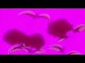 Cardi B 21 Savage Bartier Cardi Slowed Reverb