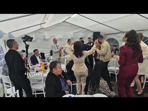 ALEKSANDAR ANTIĆ - ACA🪗🍷