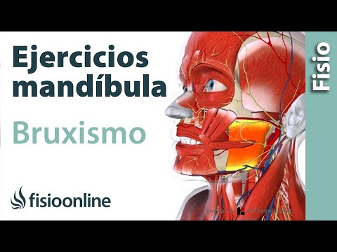 Ejercicios de relajación de maseteros para el Bruxismo