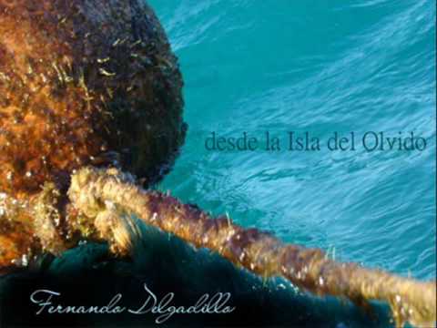 Noche sin luciernagas Fernando Delgadillo