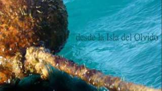 Noche sin luciernagas Fernando Delgadillo