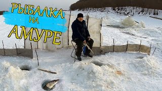 Рыбалка в амурском хабаровского края
