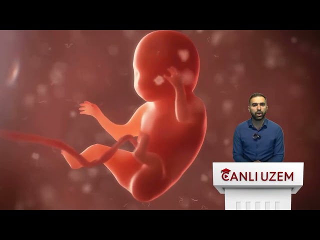 İslam İnanç Esasları