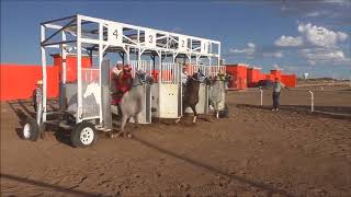 El Parrandero🏇 Grupo Laberinto🎼🎺 2017!!