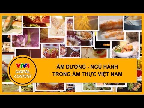VTV4