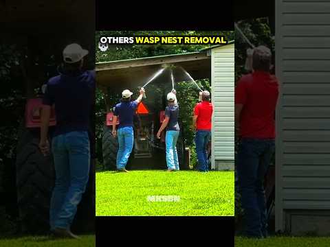 OTHERS' Wasp Nest Removal 🐝 vs This Funny Guy 😂 | Hilarious Fail! pt.2