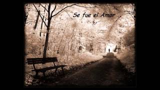 Si Supieras Cuanto Te Amé-Los Temerarios (2012)