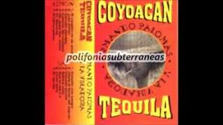 Armando Palomas -  tequila coyoacan