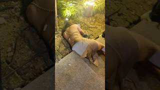 Download lagu Kuala Lumpur Nightlife Malaysia 🇲🇾 #travel #viralvideo #trending mp3