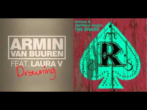 The Drowning Shark [Zant & Biosign Mashup] - Armin Van Buuren Vs. Setrise & Matthew Nagle