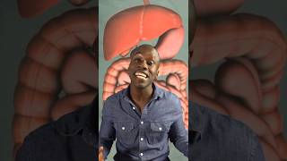 The digestive system song 🥗🎶🕺🏾 #science #biology #stem #education #digestion