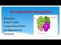 hemoglobin comprehensive overview