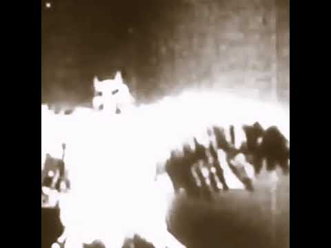 The soul of a man - Sašo Gigov Giš