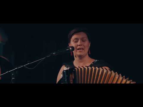 Teija Niku Kvartetti - Humma