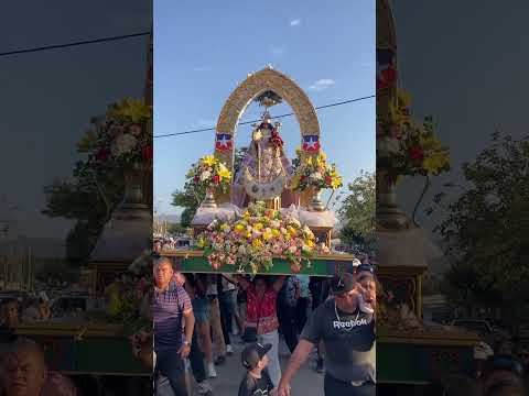 Fiesta de Guayacán 2026 B