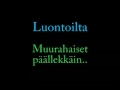 Muurahaisia päällekkäin