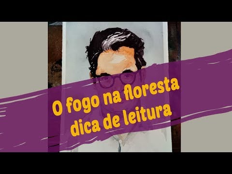 O fogo na floresta - dica de livro