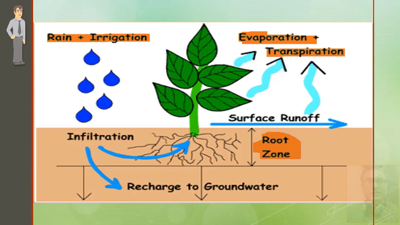 7  Root Zone Soil Water and Infilteration