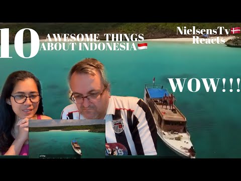 🇩🇰NielsensTv REACTS TO 🇮🇩 10 Awesome Things About Indonesia 🇮🇩