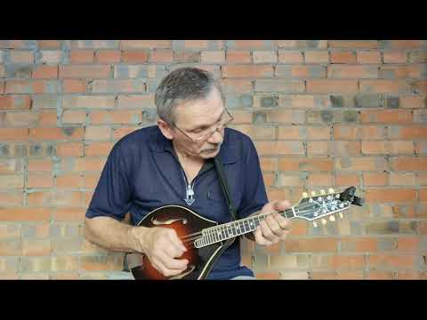 When I'm 64 (mandolin cover The Beatles)