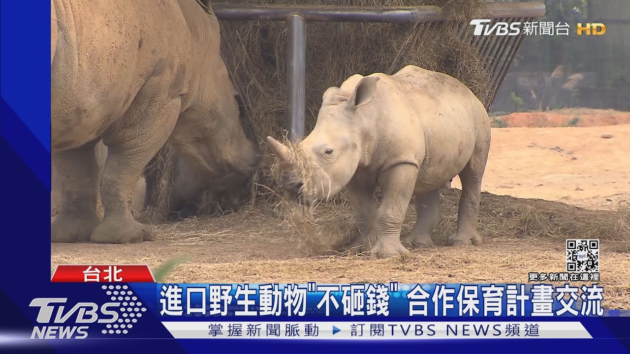 進口野生動物「不砸錢」 合作保育計畫交流