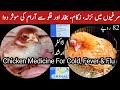 Cold, Fever and Flu Treatment Medication For Chickens | Dr. ARSHAD