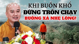Thầy Pháp Hòa: Khi Buồn Khổ, Đừng Trốn Chạy – Hãy Học Cách Buông Xả Và Nhẹ Lòng!