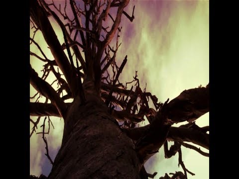 Burn Out the day (2012 mammsie graham HD)