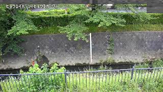 兵衛橋映像監視局