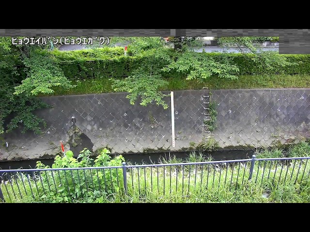 兵衛橋映像監視局