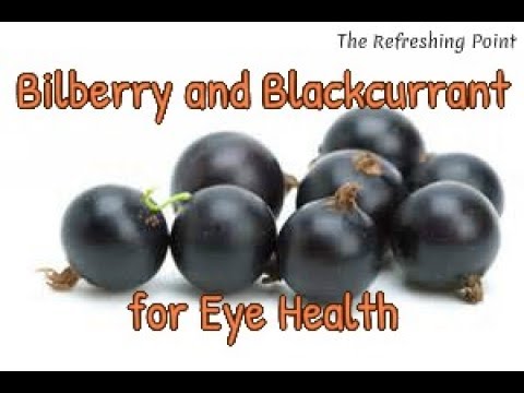 Two powerhouse plants for eye health - bilberry and blackcur...