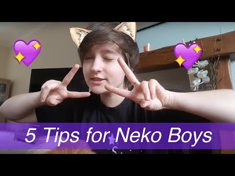 download lagu mp3 mp4 Neko Boy, download lagu Neko Boy gratis, unduh video klip Neko Boy