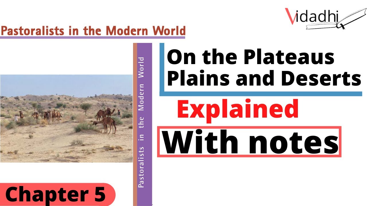On the Plateaus Plains and Deserts | pastoralists in The Modern World | class 9