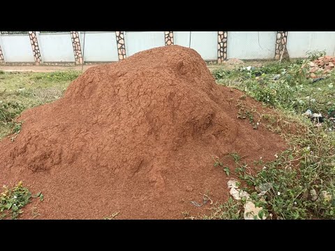 Edagala Elivumula Buli Kika Kya Dogo/Ekiswa Ekyafuluka Emigaso Nenkozesa