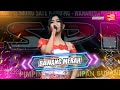 BAWANG MERAH NOVI JASMINE OM SPN