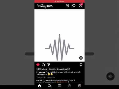 Jungle rap - ji bandz