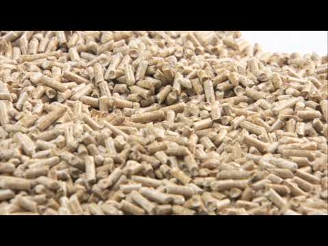 Fröling P4 Pellet - Was sind Holzpellets
